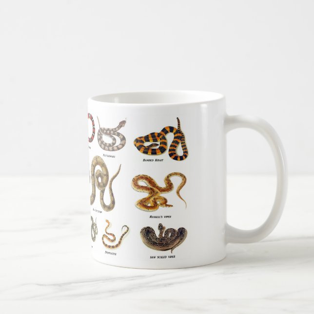 De Café Caneca da identificação do cobra (Direita)