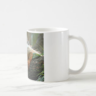 De Café Caneca da iguana