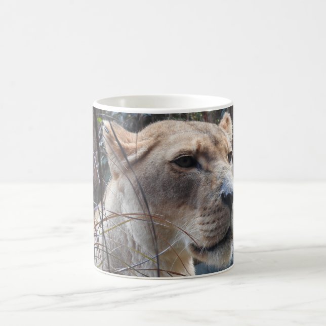 De Café Caneca da leoa (Centro)