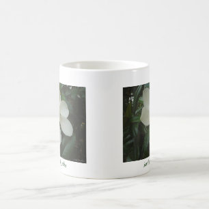 De Café Caneca da magnólia