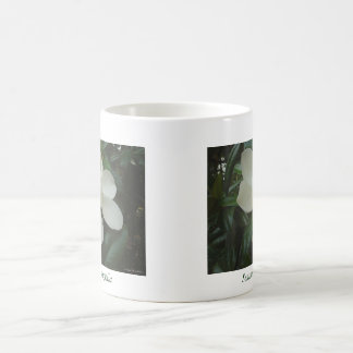 De Café Caneca da magnólia
