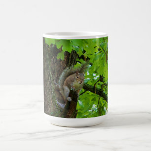 De Café Caneca da Natureza com Esquilo em Carvalho