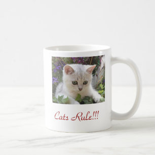 De Café Caneca da regra do gato