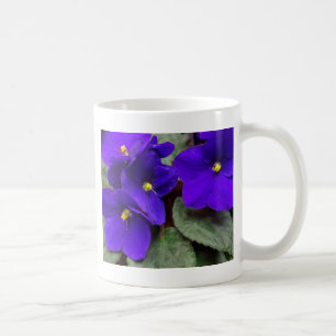De Café Caneca da violeta africana