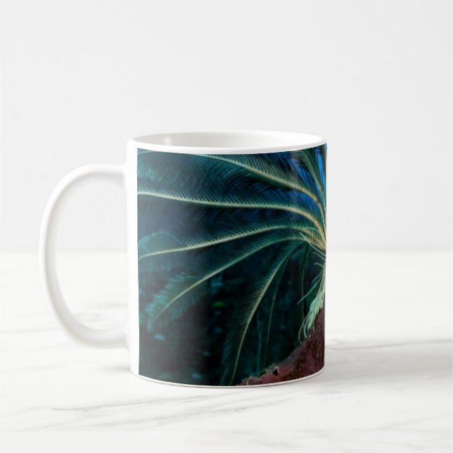De Café Caneca Danni a Sereia (Esquerda)