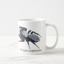Caneca do Aranha Saltadora do Grande Basin Masculi