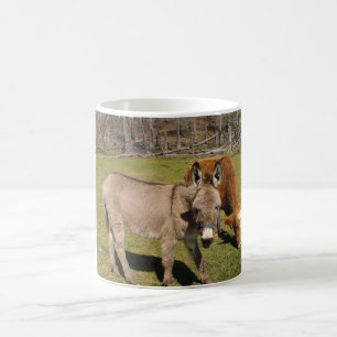 De Café Caneca do asno e da vaca
