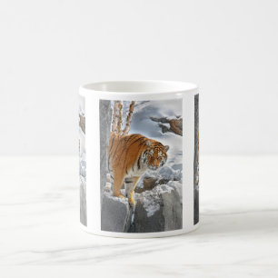 De Café Caneca do auge do tigre