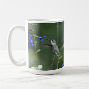 De Café Caneca do azul da safira do salvia do pássaro do