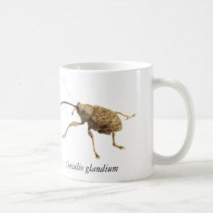 De Café Caneca do Besouro da Bolota