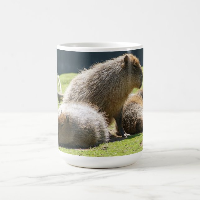 De Café Caneca do Capybara (Centro)