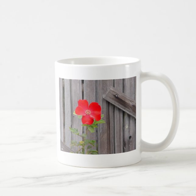 De Café caneca do carmel (Direita)