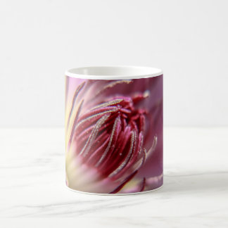 De Café Caneca do Clematis 11oz