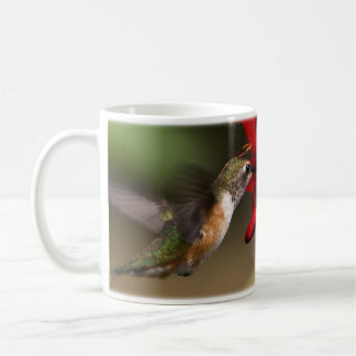 De Café Caneca do colibri