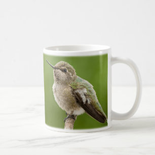 De Café Caneca do colibri