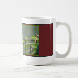 De Café Caneca do colibri