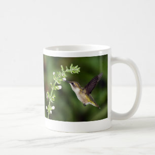 De Café Caneca do colibri 10