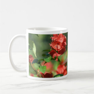 De Café Caneca do colibri em vôo