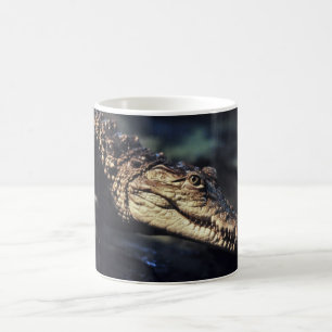 De Café Caneca do crocodilo do caimão