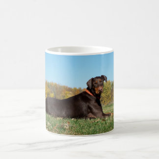 De Café Caneca do Doberman