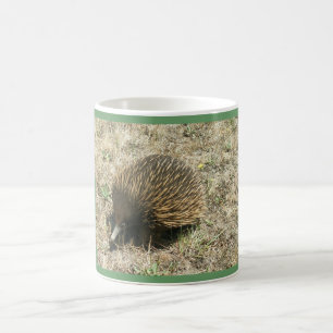 De Café Caneca do ECHIDNA
