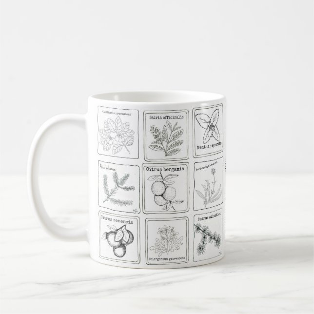 De Café Caneca do esboço da planta da aromaterapia (Esquerda)