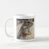 Caneca do escritor do esquilo