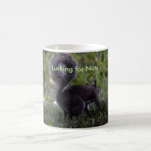 De Café Caneca do esquilo