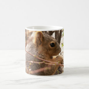 De Café Caneca do esquilo