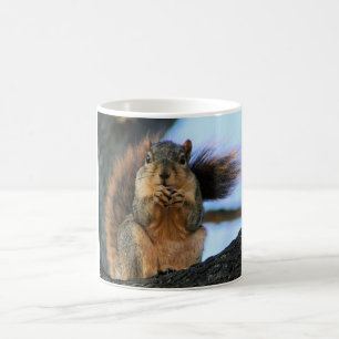 De Café Caneca do esquilo