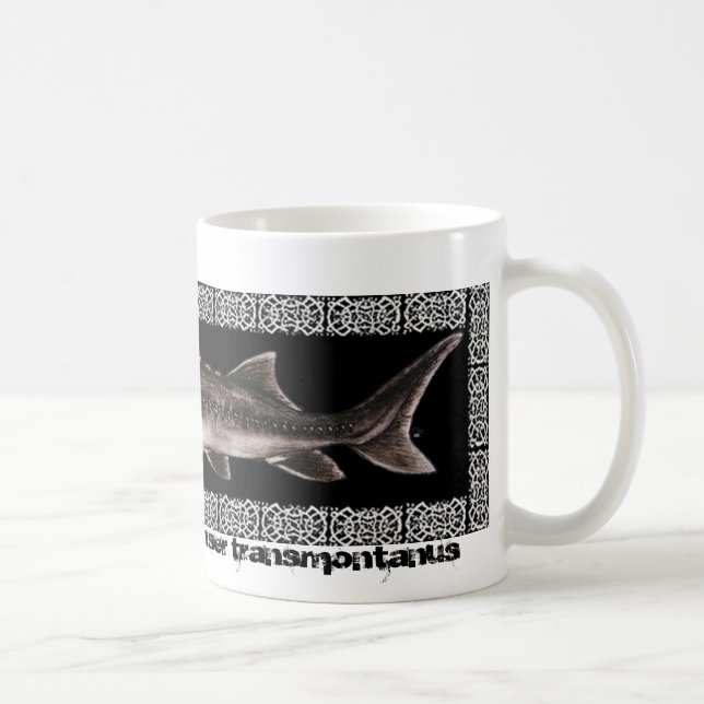De Café Caneca do esturjão - esturjão branco (Direita)