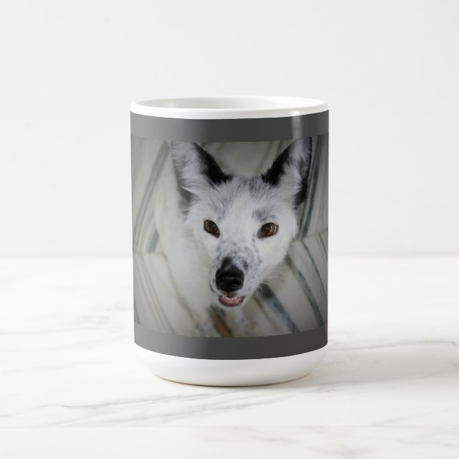 De Café Caneca do Fox - Boris (Centro)