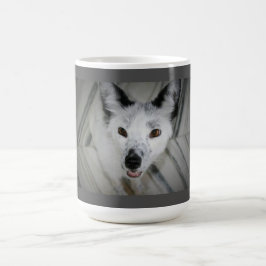 De Café Caneca do Fox - Boris