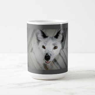 De Café Caneca do Fox - Boris