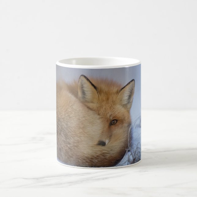 De Café Caneca do Fox, caneca foxy, raposas, natureza, (Centro)