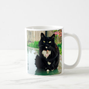 De Café Caneca do gatinho