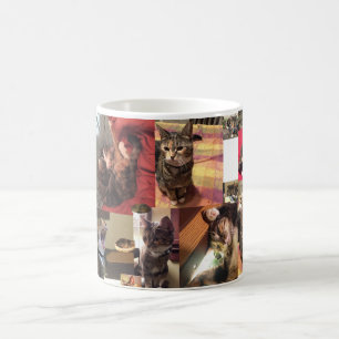 De Café Caneca do gato do gatinho