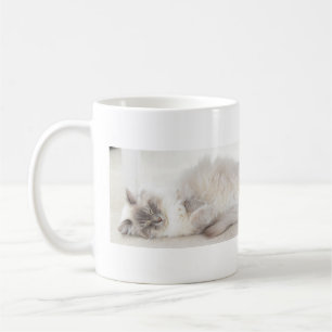 De Café Caneca do gato do sono Ragdoll