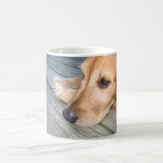 De Café Caneca do golden retriever