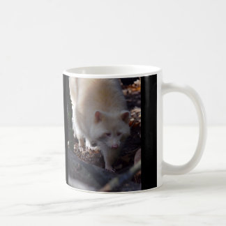 De Café Caneca do guaxinim do albino