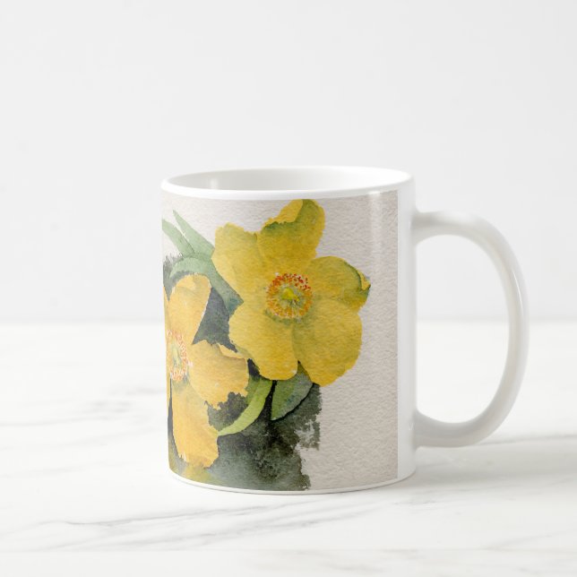 De Café Caneca do Hypericum (Direita)