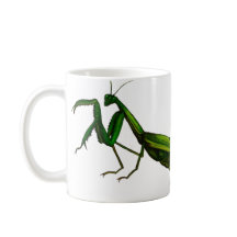 Caneca do inseto, verde da louva-a-deus Praying