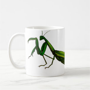 De Café Caneca do inseto, verde da louva-a-deus Praying