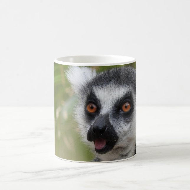 De Café Caneca do Lemur (Centro)