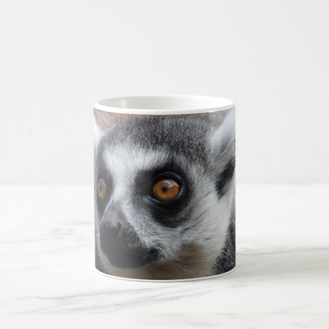 De Café Caneca do Lemur (Centro)