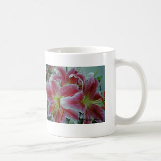 De Café Caneca do lírio com informação