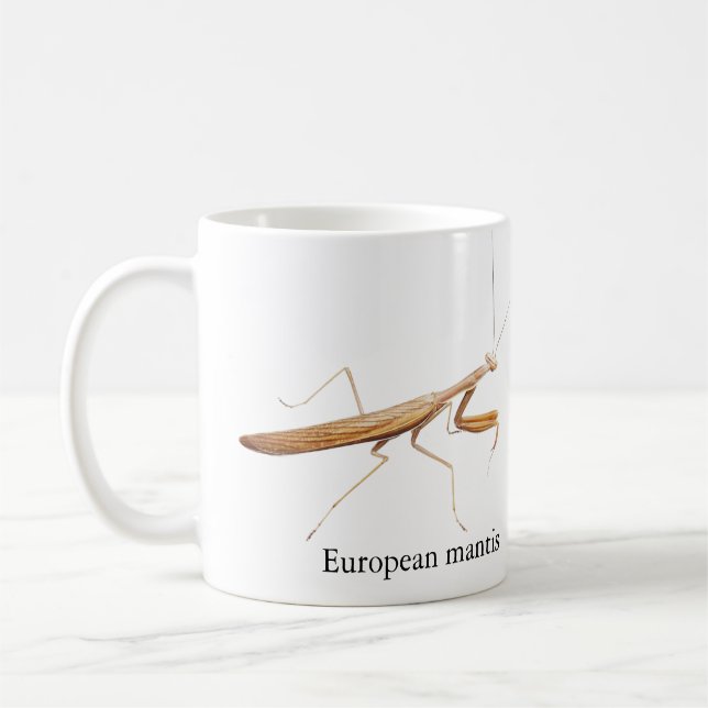 De Café Caneca do Louva-a-Deus Europeu (Esquerda)