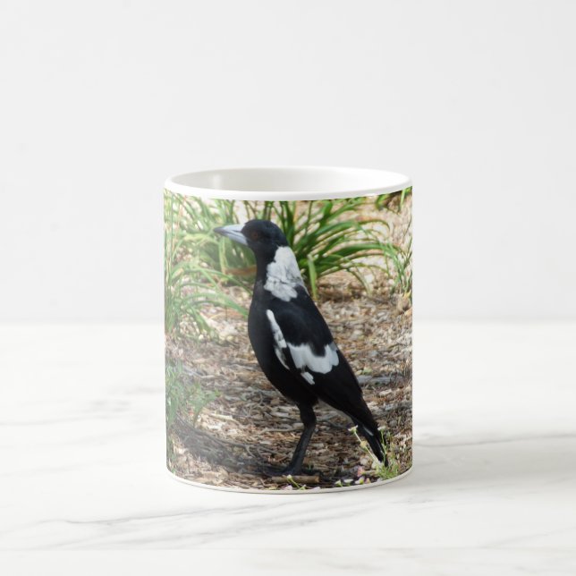 De Café Caneca do Magpie australiano (Centro)