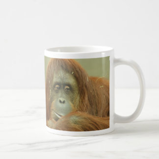 De Café Caneca do orangotango