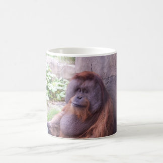 De Café Caneca do orangotango